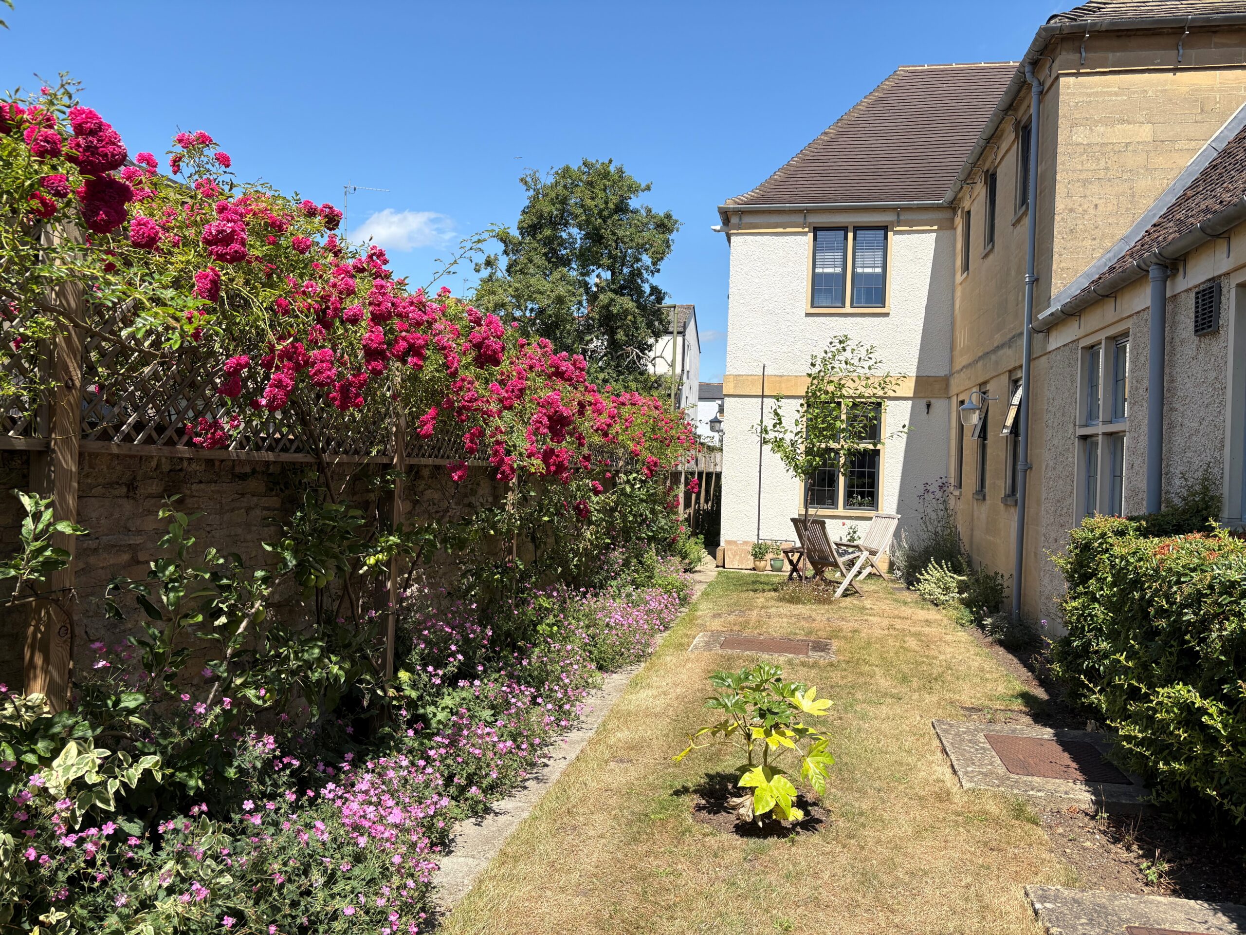 Oxford City Charity ran almshouse side garden