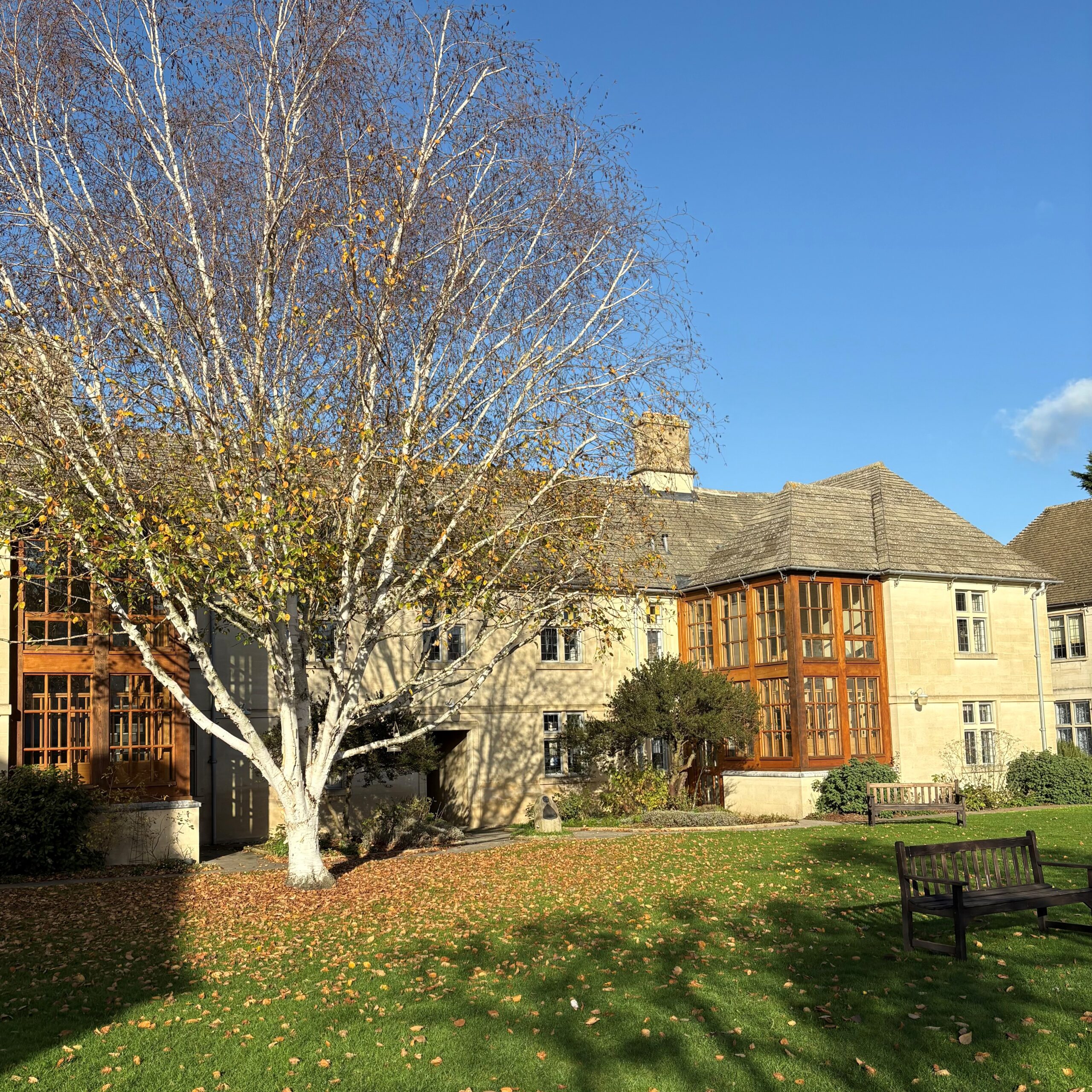 Stone’s Court gardens in winter Stone’s Court gardens in winter